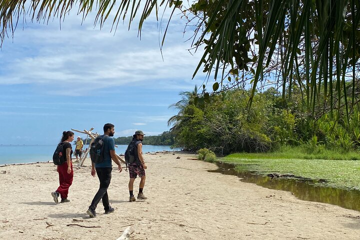 Cahuita National Park Tour and Water Experience in Puerto Viejo  - Photo 1 of 4